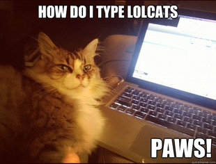 Smart Kitteh