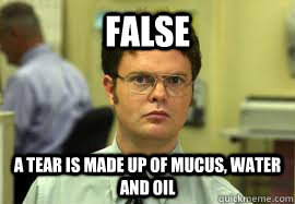 Dwight False
