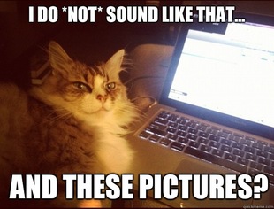 Smart Kitteh