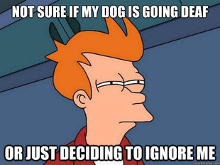 Futurama Fry