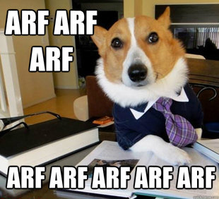 Lawyer Dog