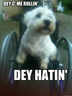 Dey C Me Rollin