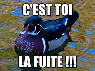 Cest toi la fuite
