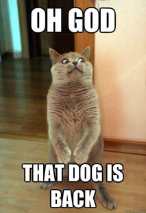 Horrorcat