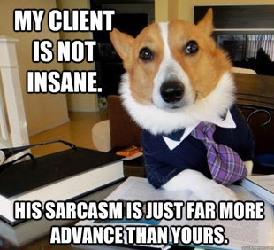 Lawyer Dog