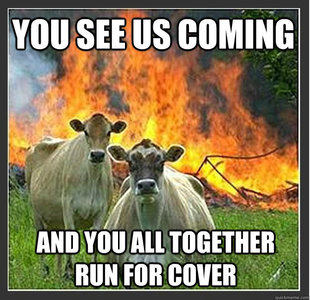 Evil cows