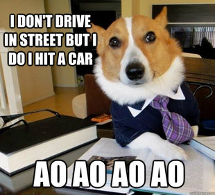 Lawyer Dog