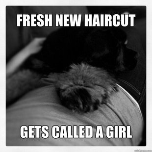 First World Dog Problems