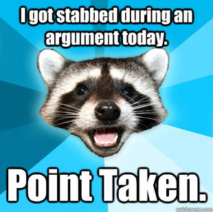 Lame Pun Coon