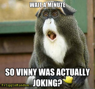 suprise monkey