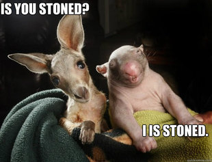 I is stoned.