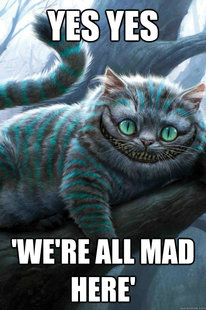 wacky cat