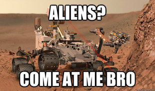 Unimpressed Curiosity