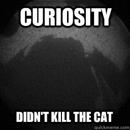 Curiosity didnt kill the cat