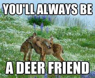 deer friend
