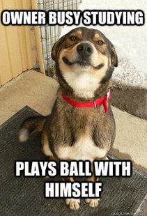 Good Dog Greg