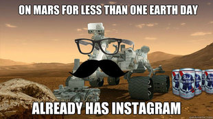 hipster curiousity