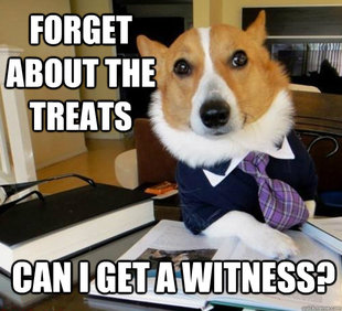 Lawyer Dog
