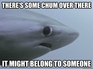 Shy Shark