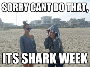 Shark week kelsey