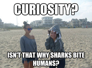 Shark week kelsey
