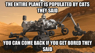 Condescending Curiosity