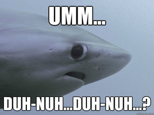 Shy Shark