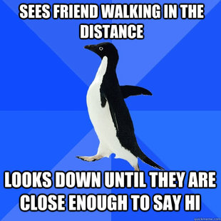 Socially Awkward Penguin