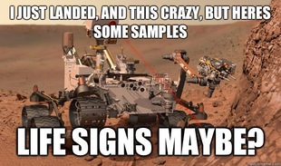 Unimpressed Curiosity
