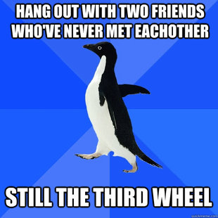 Socially Awkward Penguin