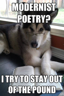 Condescending Literary Pun Dog