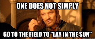 One Does Not Simply