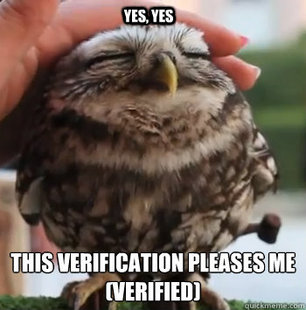cute owl