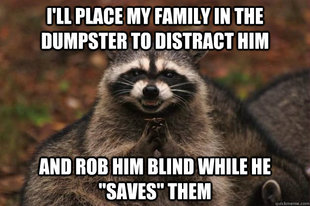 Evil Plotting Raccoon