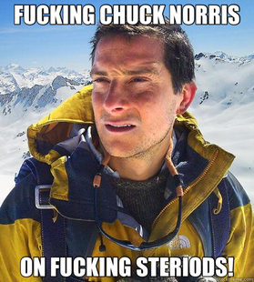 Bear Grylls