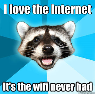 Lame Pun Coon