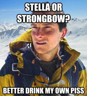 Bear Grylls
