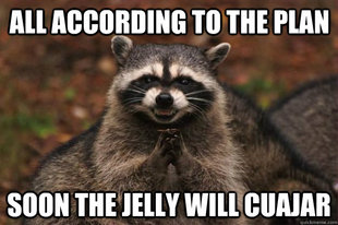 Evil Plotting Raccoon