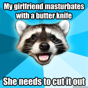 Lame Pun Coon