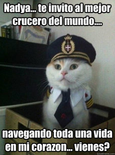 Captain kitteh