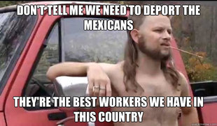 Almost Politically Correct Redneck