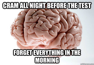 Scumbag Brain