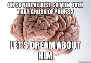 Scumbag Brain