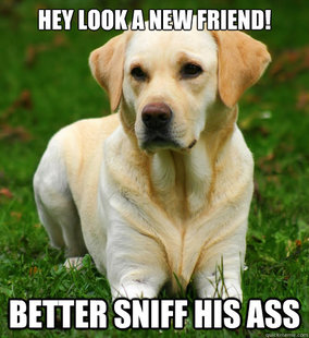 Dog Logic