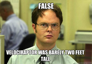Dwight