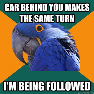 Paranoid Parrot