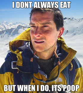 Bear Grylls