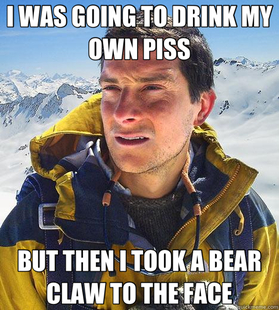 Bear Grylls