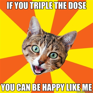 Bad Advice Cat