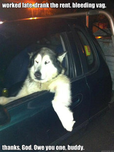 Mean Dog